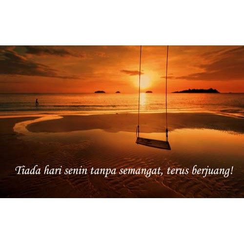 Link 50K