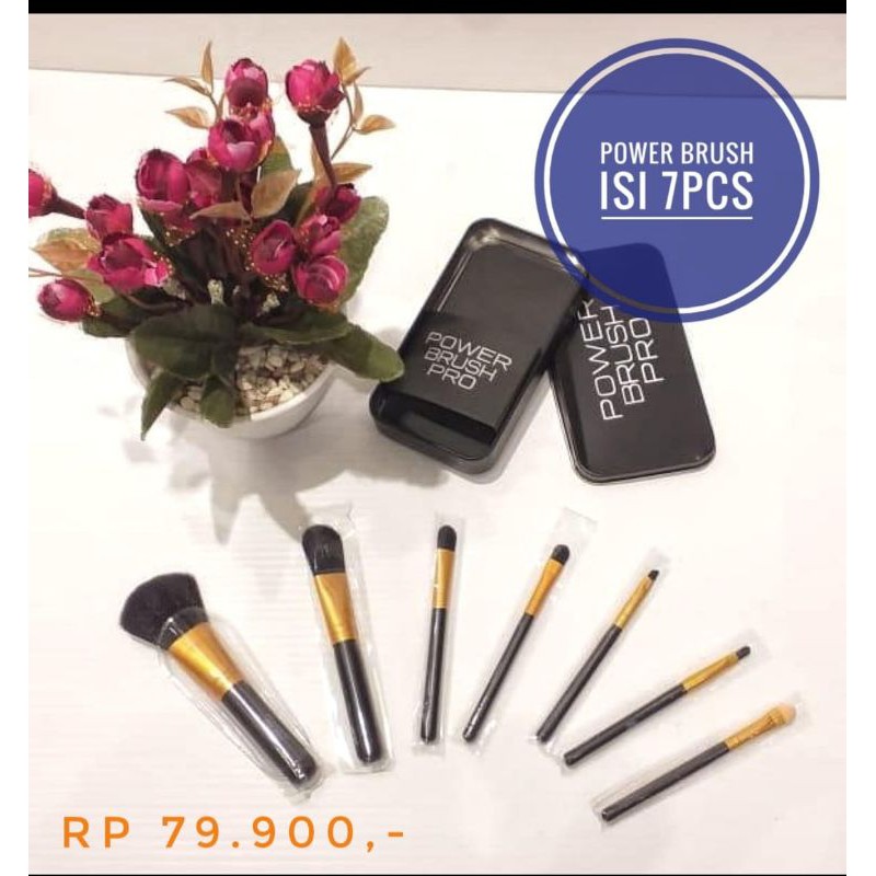 Brunbrun Power Brush Makeup