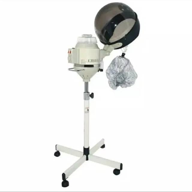Hair steamer whit ozone