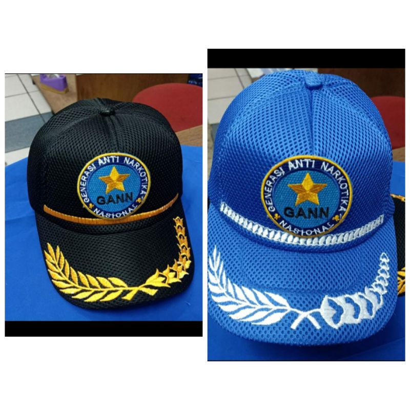 Topi GANN