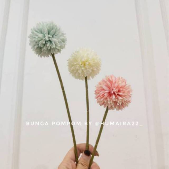 Bunga pom pom