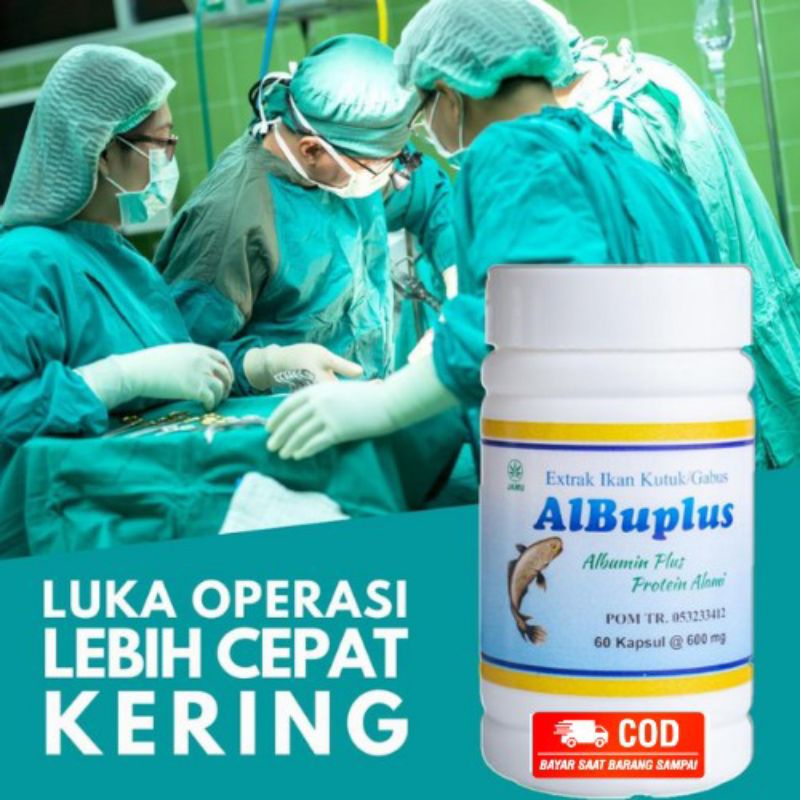 ALBUPLUS EXTRAK IKAN GABUS LIAR