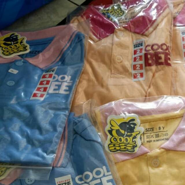 Orderan WA Baru