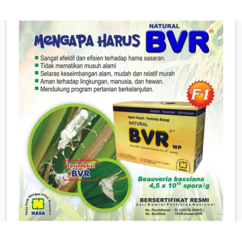 BVR NASA