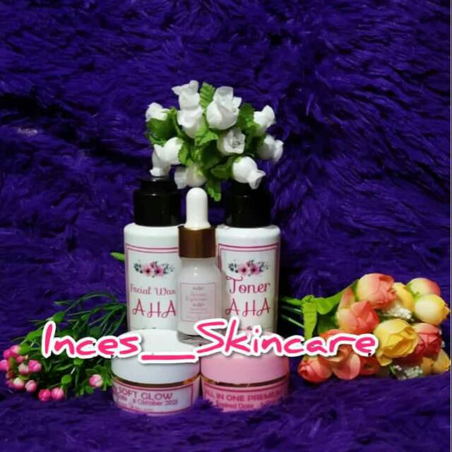 PAKET KOMPLIT PLUS SABUN WHITENING MINI