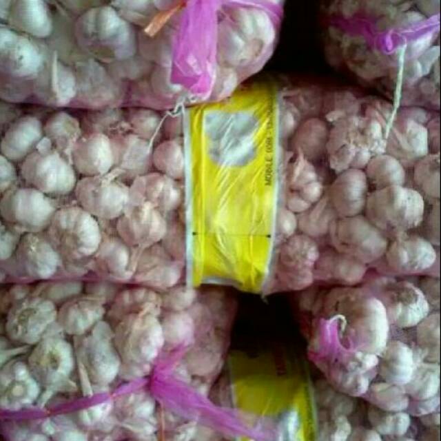 Bawang putih
