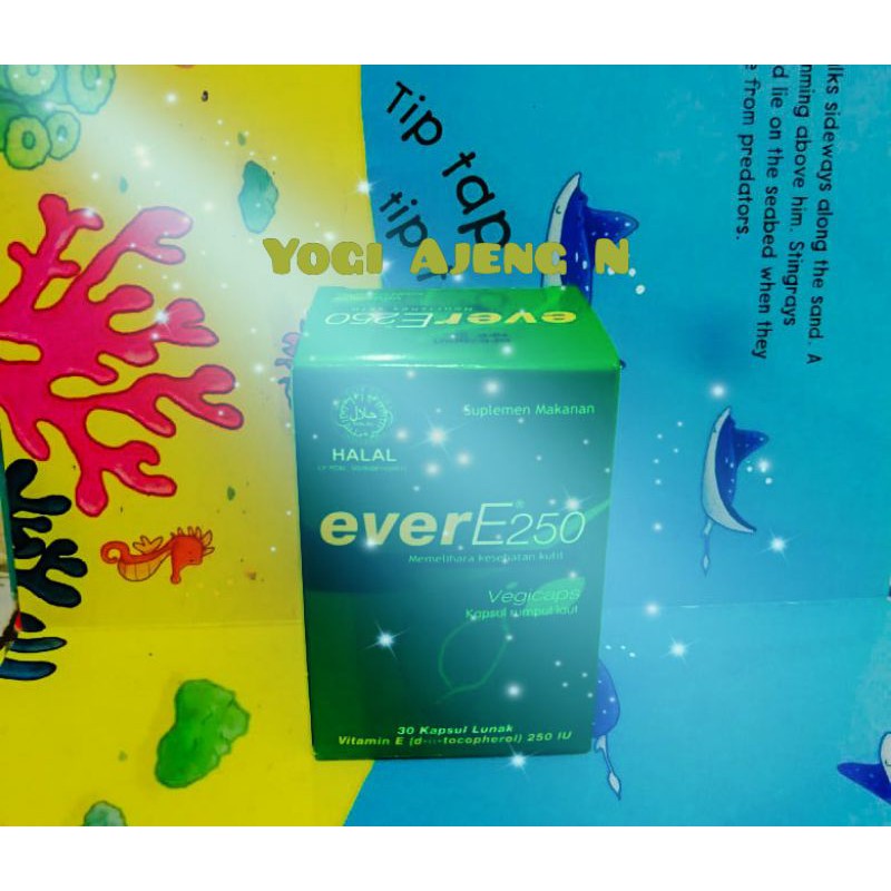 EVER E 250 (30 Kapsul)