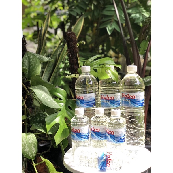 Parfum Laundry Grade Biasa dan Grade Super