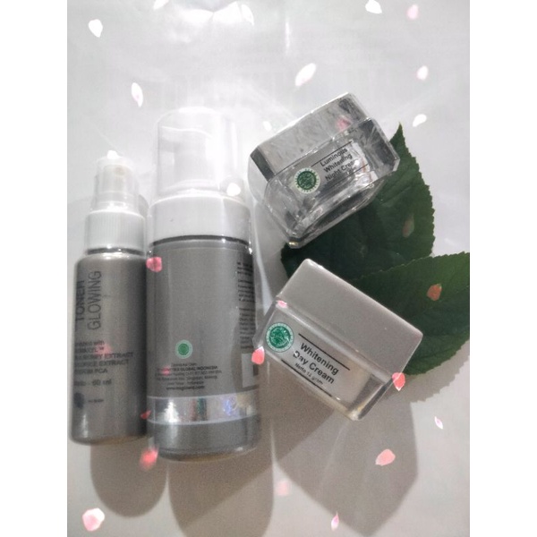 Paket Ms Glow Luminious
