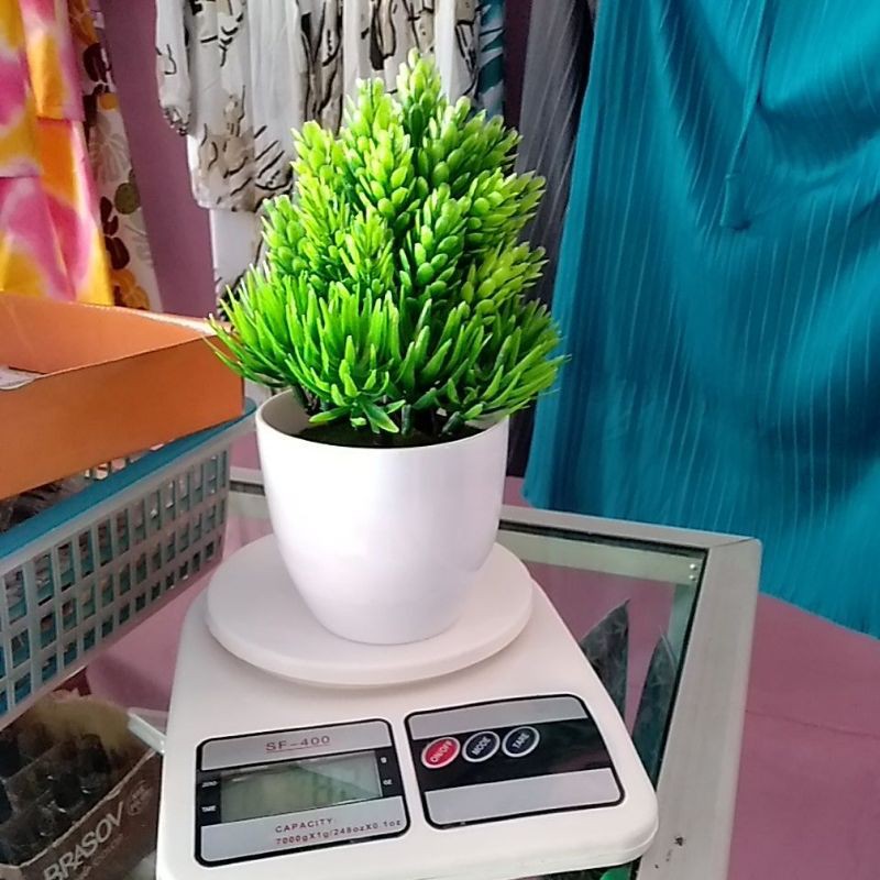 bunga hias plastik