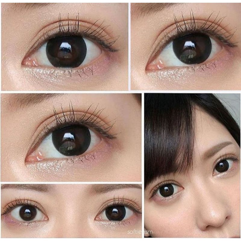 SOFTLENS ADORE BLACK 14.4MM NORMAL&MINUS S/D -8.00