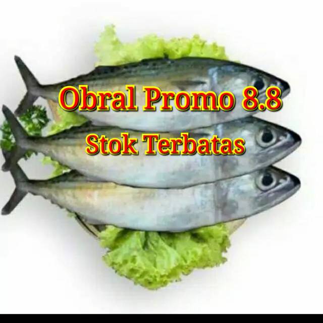 IKAN KEMBUNG BANJAR