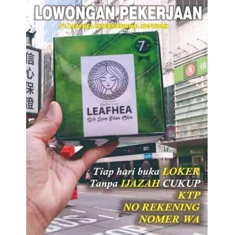 sabun leafhea