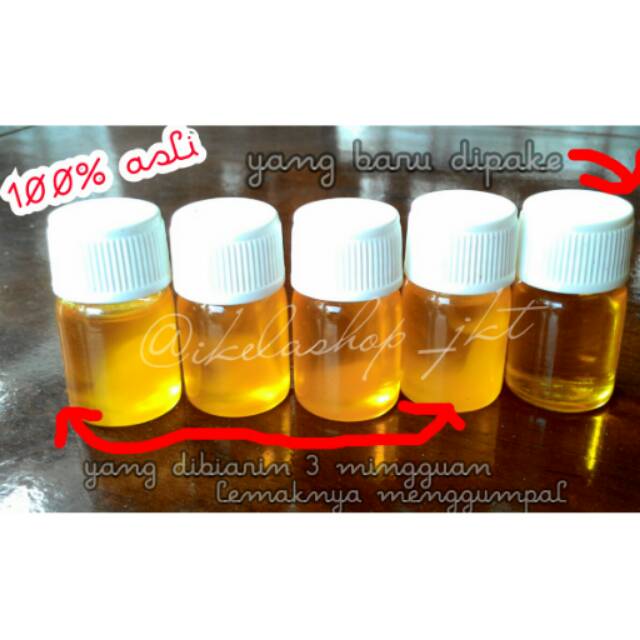minyak bulus 10ml asli 100%