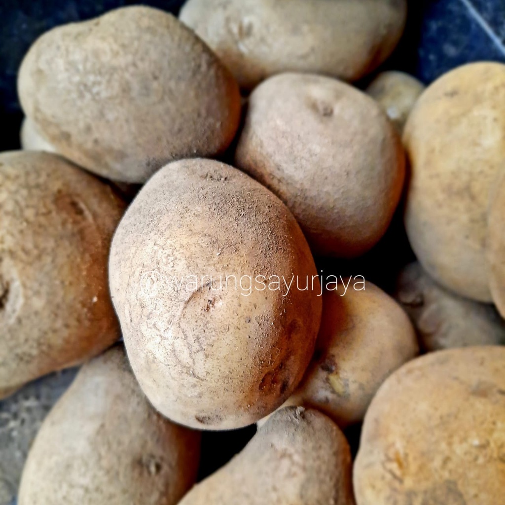 Kentang 500 gram
