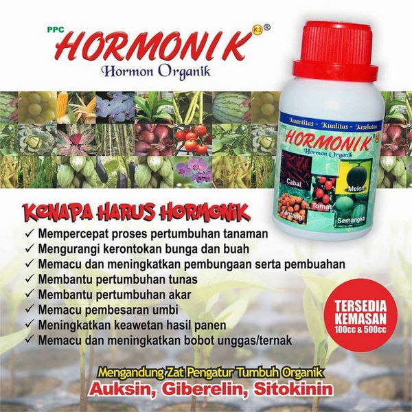 Pupuk Khusus Buah
