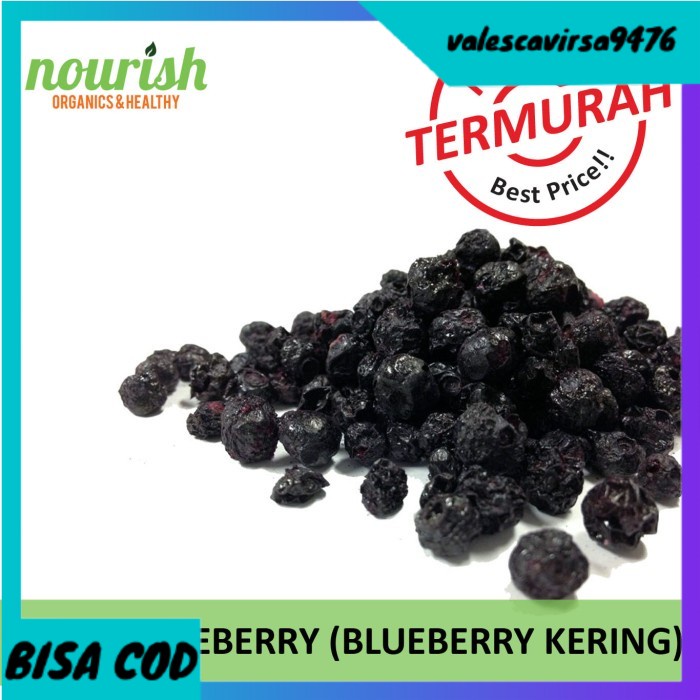 ⭐BISA COD⭐ Dried Blueberry (100g)
