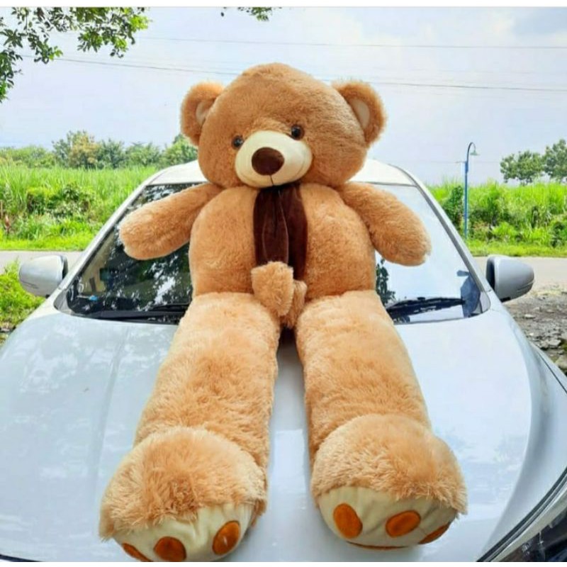 Boneka beruang jumbo