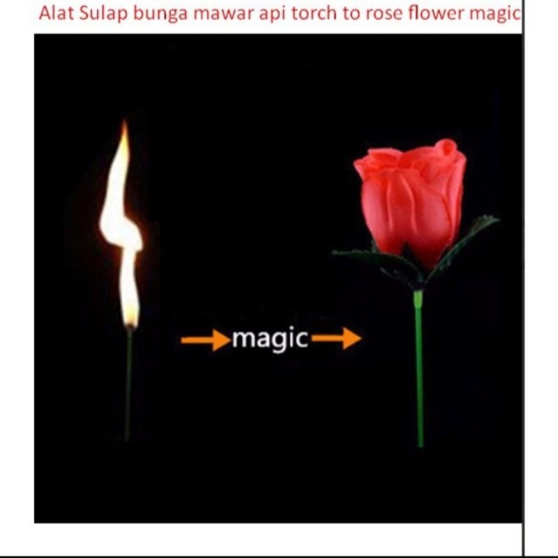 sulap obor jadi bunga