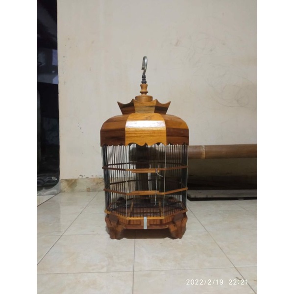 Sangkar perkutut jati