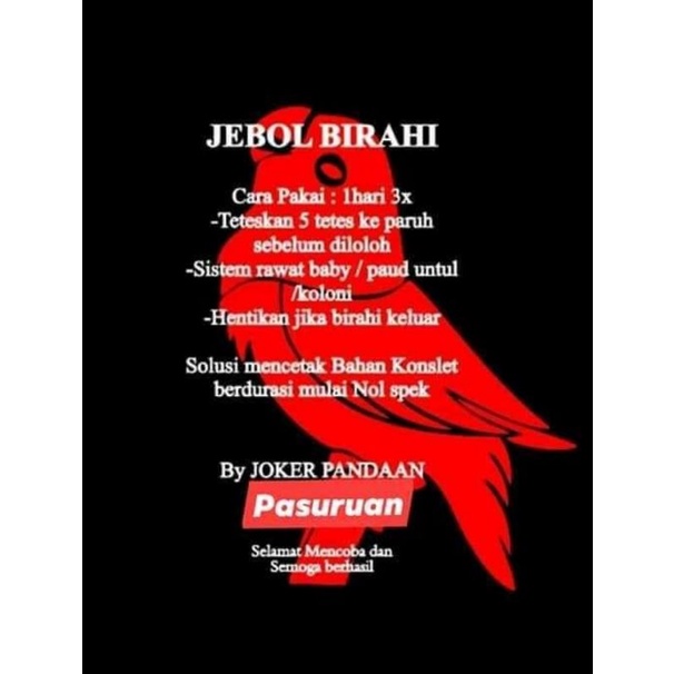 Doping Lovebird JEBOL BIRAHI