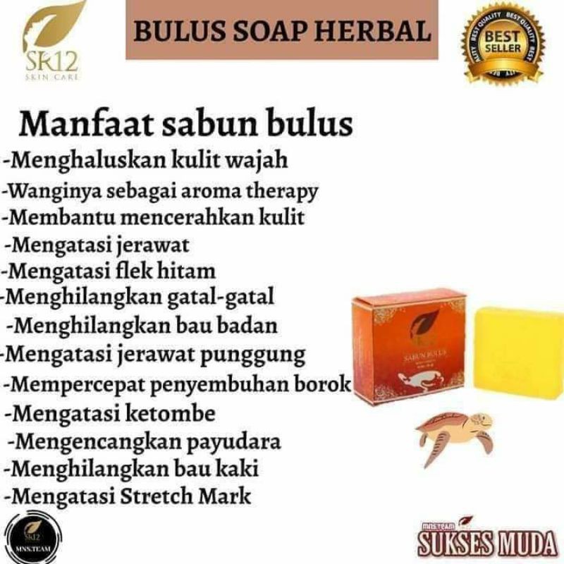 sabun bulus