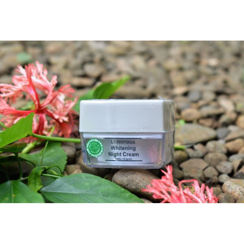 Luminous Whitening Night Cream