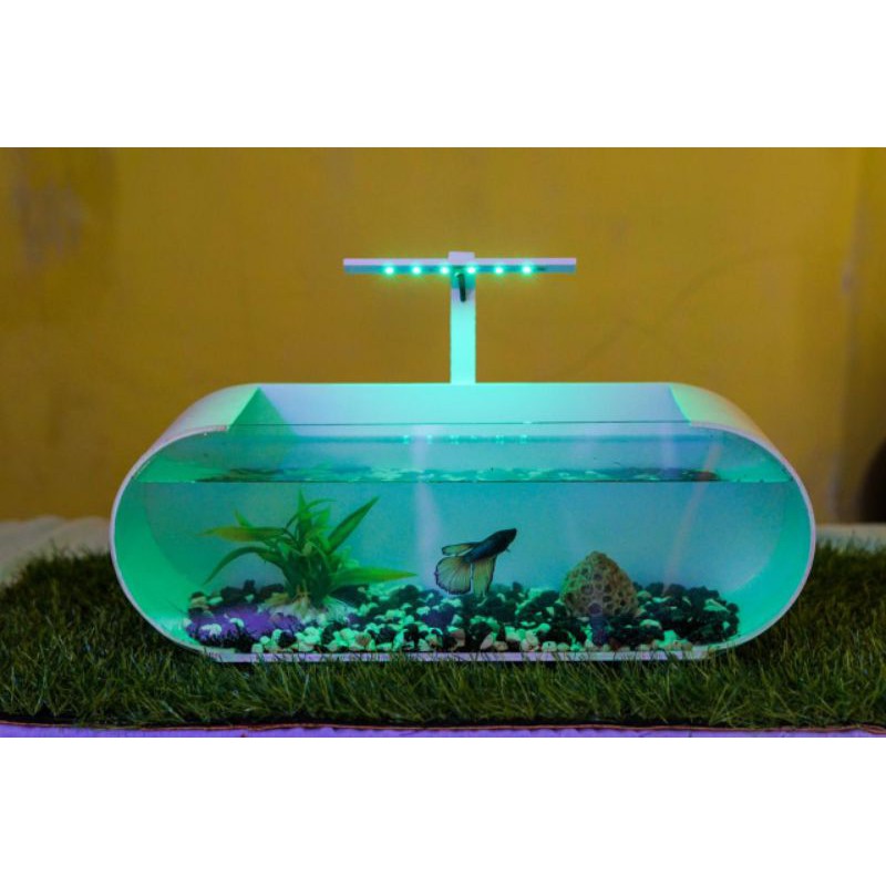 aquarium type MEDIUM LONG