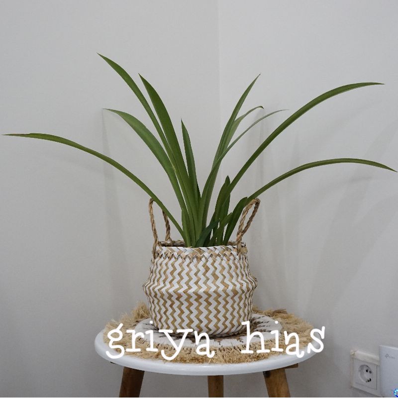 cover pot belly chevron putih