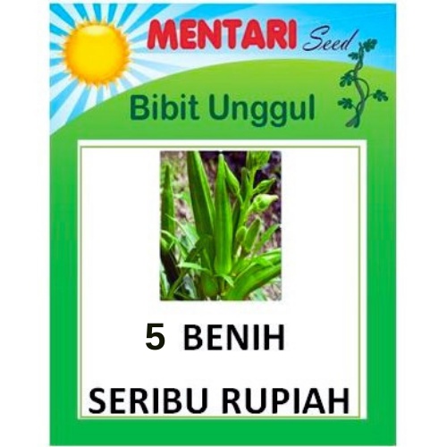 5 Biji Benih Okra