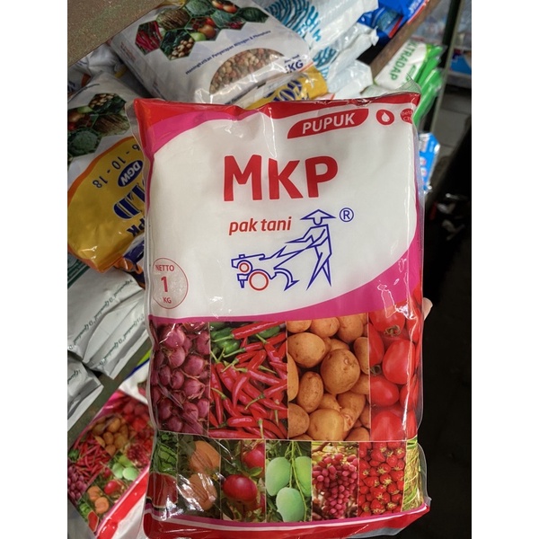 Pupuk MKP Paktani