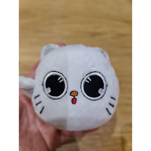 kucing putih