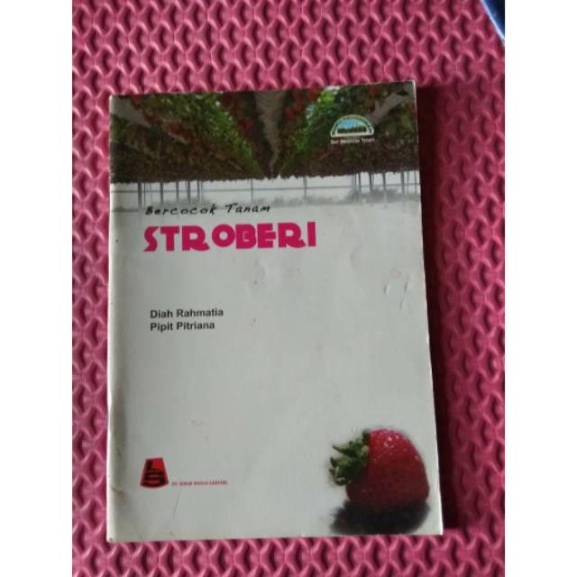 Bercocok Tanam Stroberi