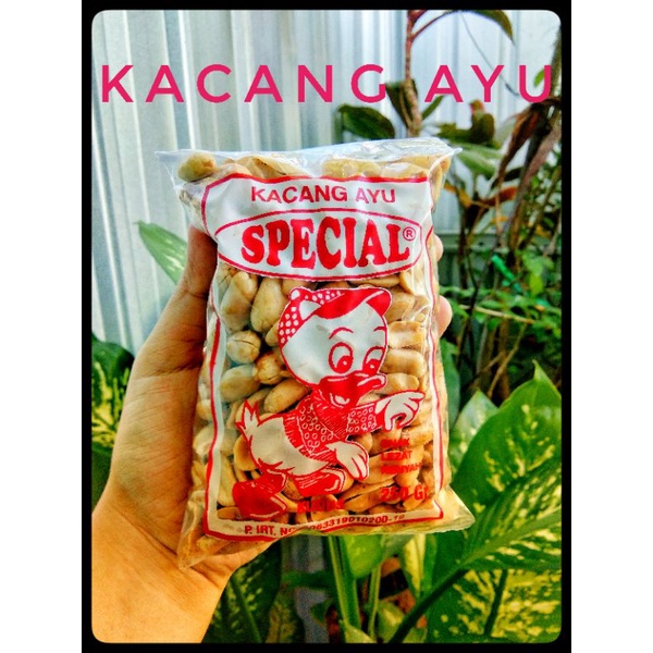 Kacang Ayu Special.