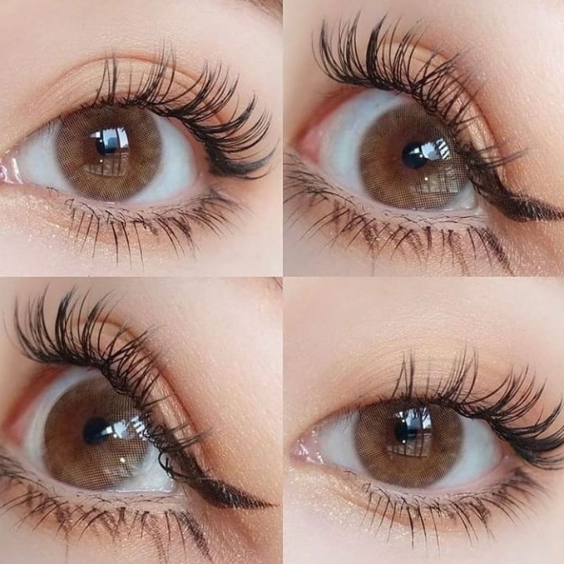 SOFTLENS MINI SOMEDAY BROWN