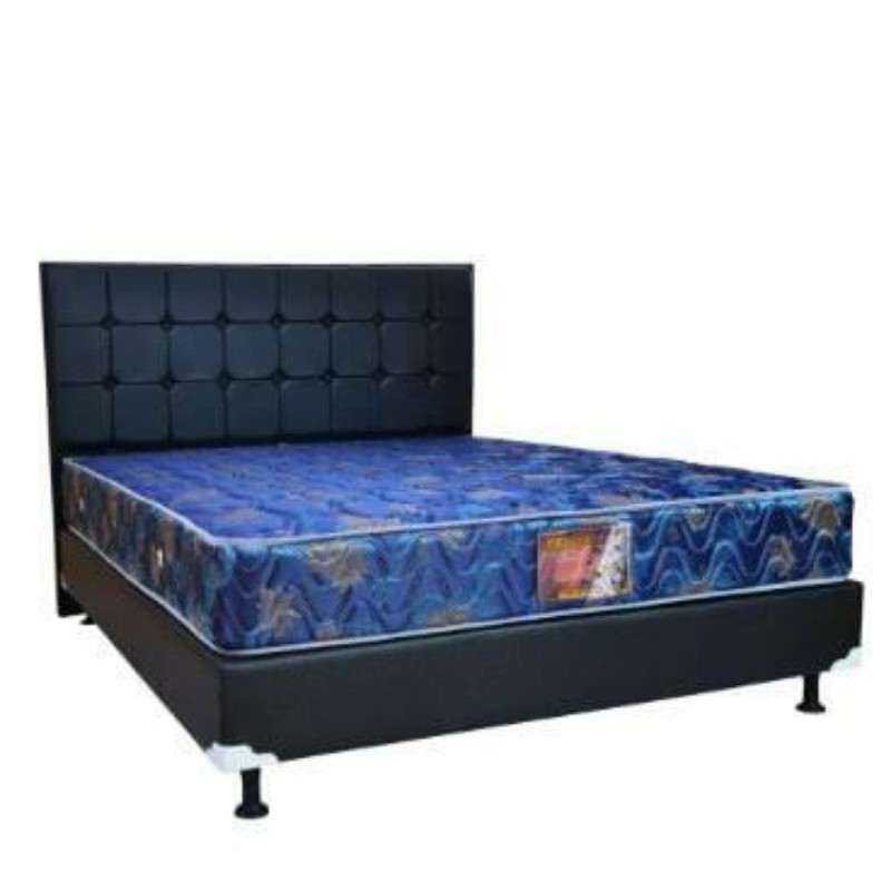 CENTRAL SPRINGBED