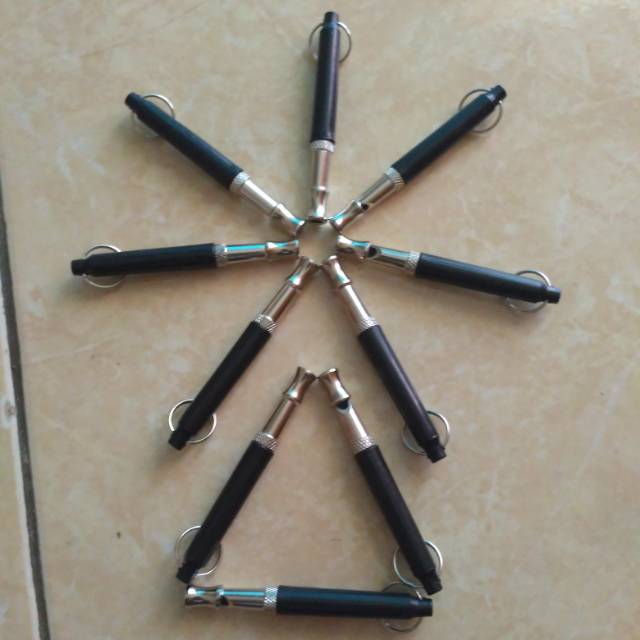 Pluit ultrasonik
