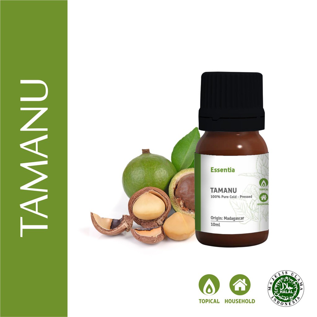 Tamanu Oil