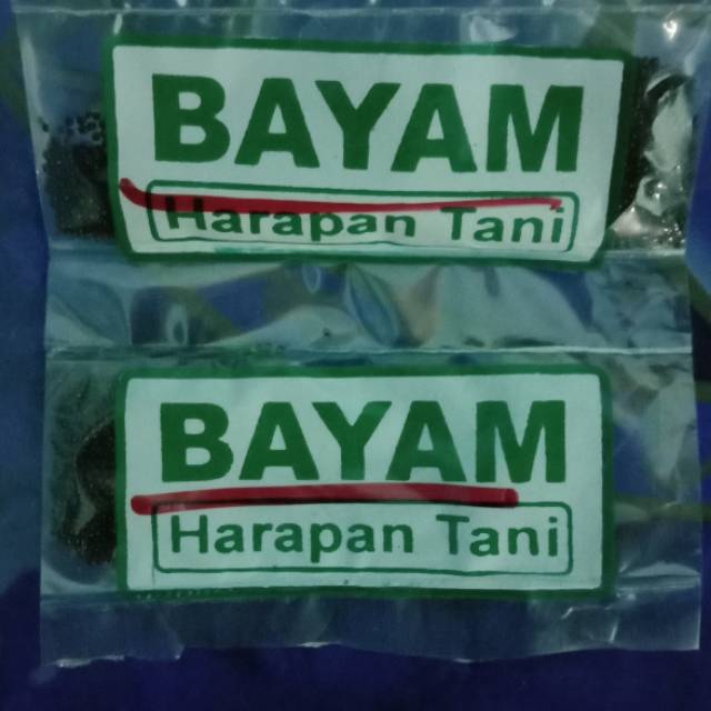 Benih Bayam Merah