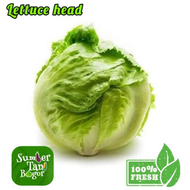 LETTUCE HEAD PER 500 GRAM