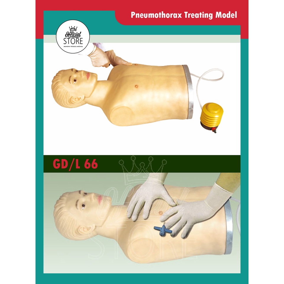 Phantom Manekin Pneumothorax Treating Model GD/L66