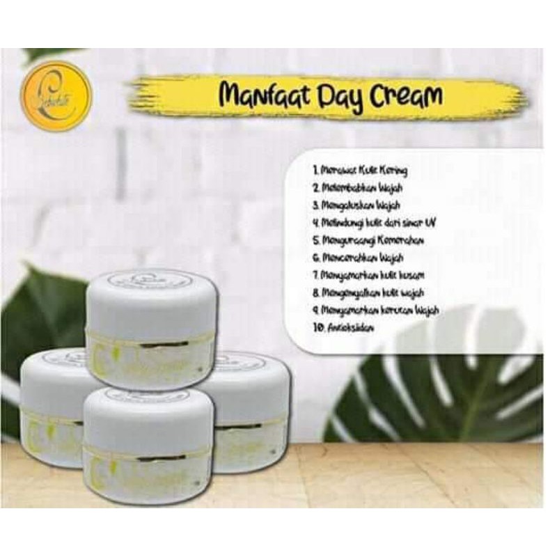 DAY CREAM / SUNSCREEN