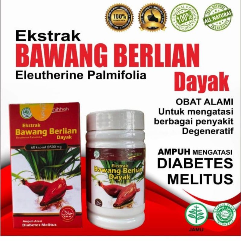 KAPSUL BAWANG DAYAK