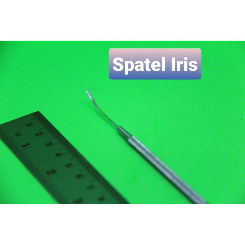 Spatel Iris