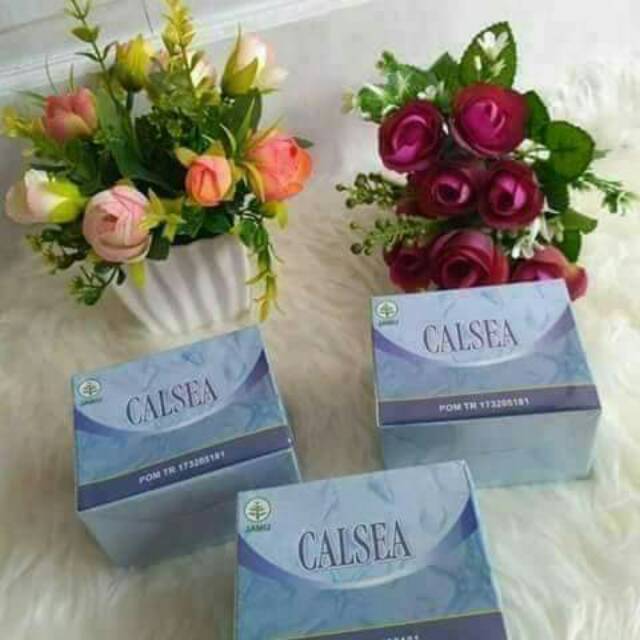 Calsea nasa