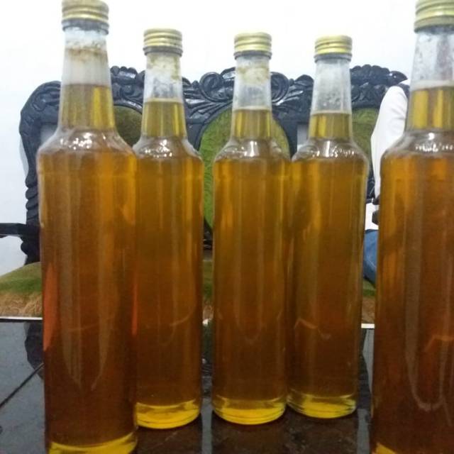 madu ternak