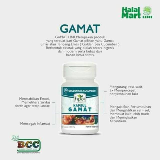 Gamat hpai