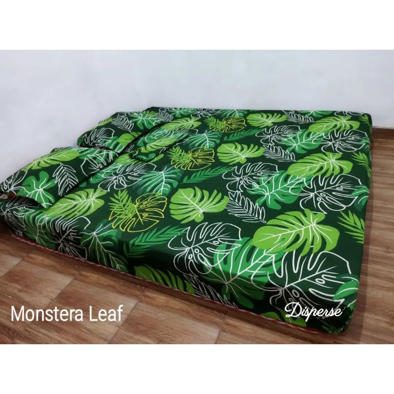 seprei semarang / monstera leaf