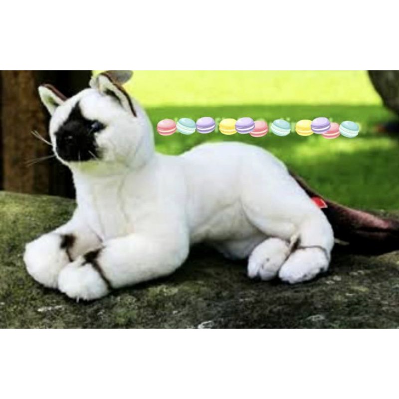 Boneka kucing Siam Lucu