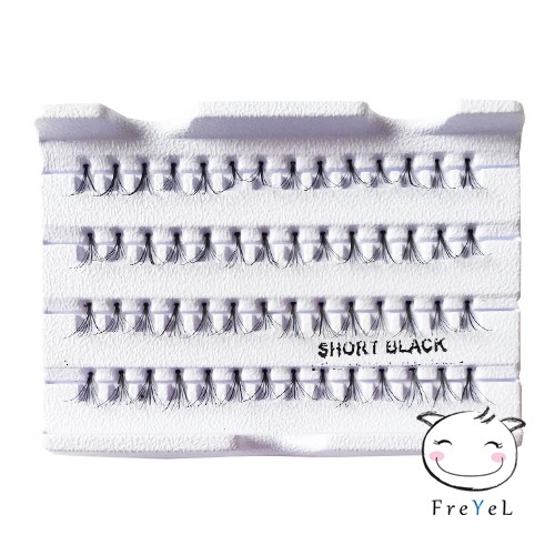 BULUMATA TANAM INDIVIDUAL  (per box)